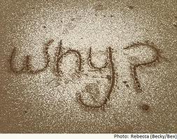 why image
