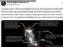 x.com/hhn_archives image